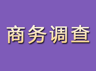 丰台商务调查